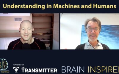 BI 225 Henk De Regt: Understanding in Machines and Humans