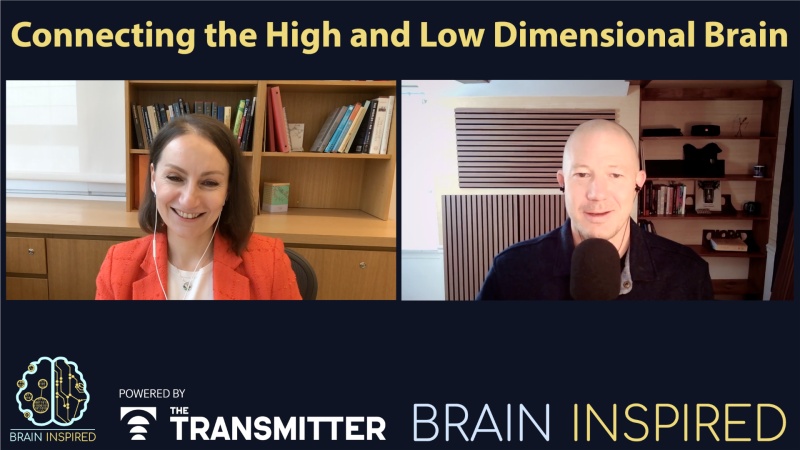 BI 226 Tatiana Engel: The High and Low Dimensional Brain BI 226 Tatiana Engel: The High and Low Dimensional Brain