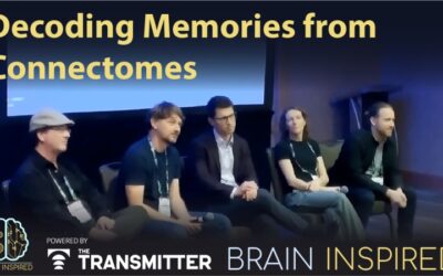 BI 227 Decoding Memories: Aspirational Neuroscience 2025