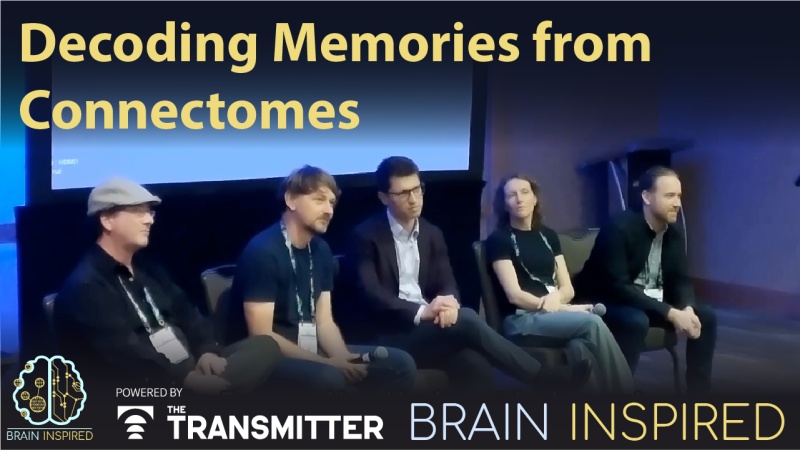 BI 227 Decoding Memories: Aspirational Neuroscience 2025 BI 227 Decoding Memories: Aspirational Neuroscience 2025