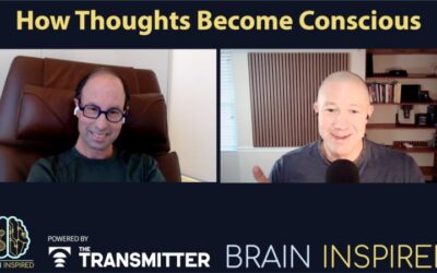 BI 230 Michael Shadlen: How Thoughts Become Conscious
