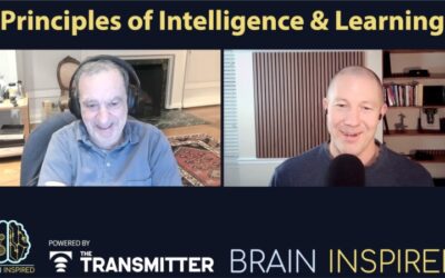 BI 229 Tomaso Poggio: Principles of Intelligence and Learning
