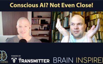 BI 231 Jaan Aru: Conscious AI? Not Even Close!