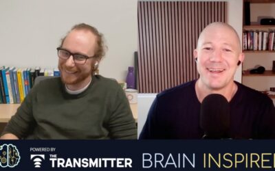 BI 245 Dan Levenstein: Neuro-AI, Dynamics, and Model Systems